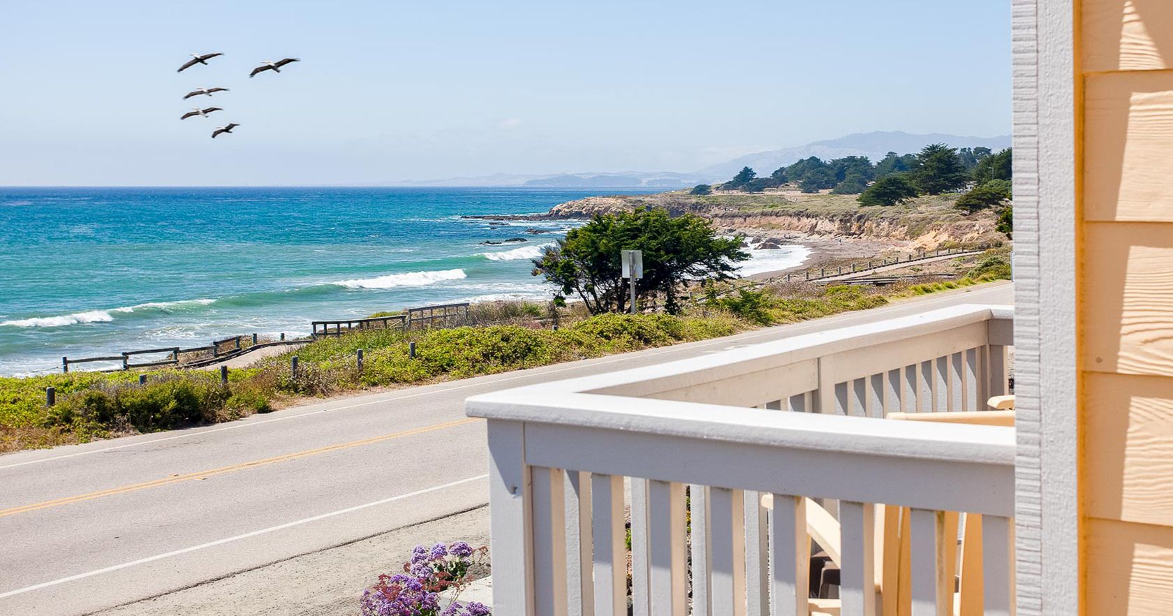 A seaside view from a porch: pale-blue ocean, a sandy shore, a road, trees, and a small flock of birds flying over the water, sunny and calm.