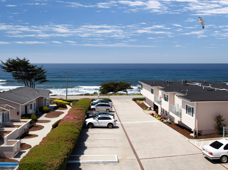 Sunny coastal scene with apartments lining a paved parking lot, a few parked cars, hedges, ocean in the distance, and a seagull flying overhead.