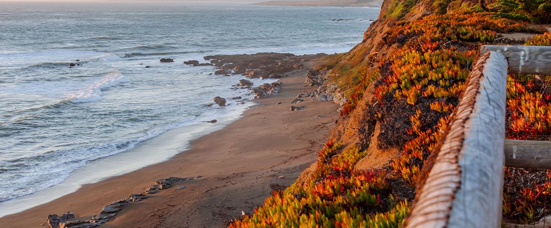 Cambria Hotel Collection