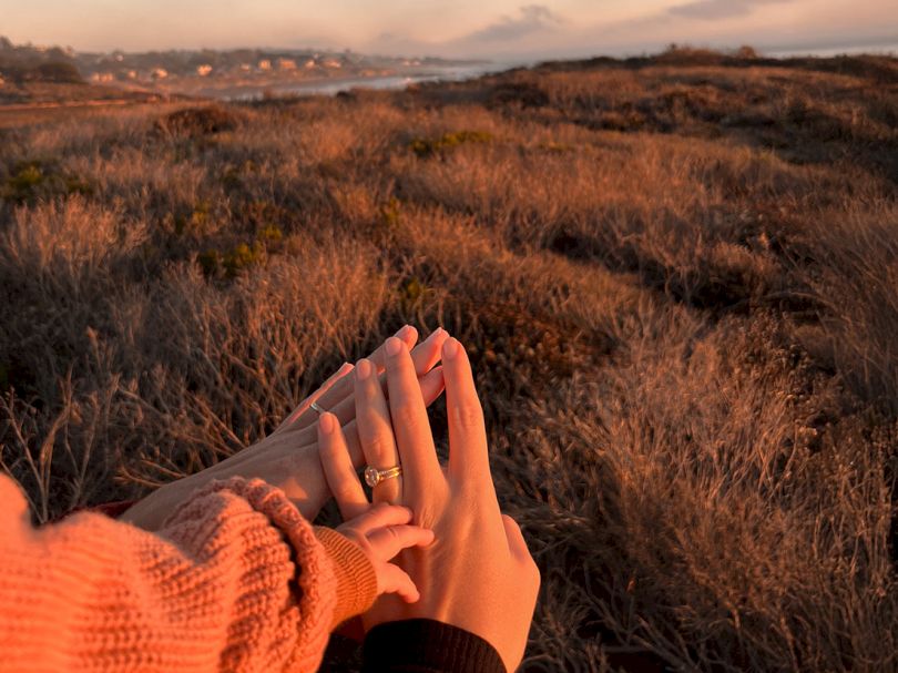 Cambria Hotel Collection