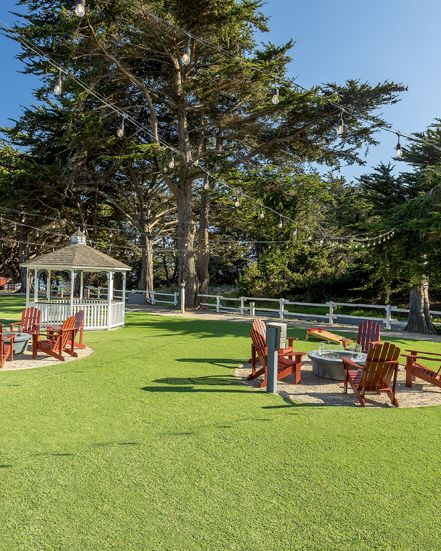 A sunny lawn with wooden chairs and tables arranged around, a small gazebo, string lights, and tall trees in the background. Top it at 140 characters, always ending the sentence.