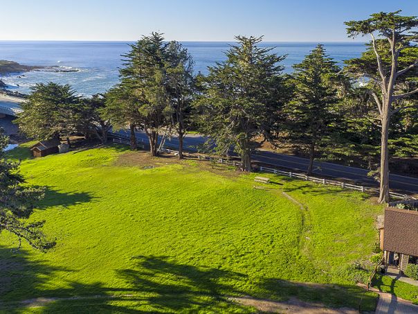 A sunny coastal park with green grass, tall trees, a bench, and the ocean in the background, beside a road and rocky shoreline.