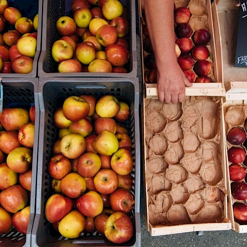A market stall with apples in crates and boxes of nectarines and plums; a hand reaches toward the produce, a chalkboard sign visible.