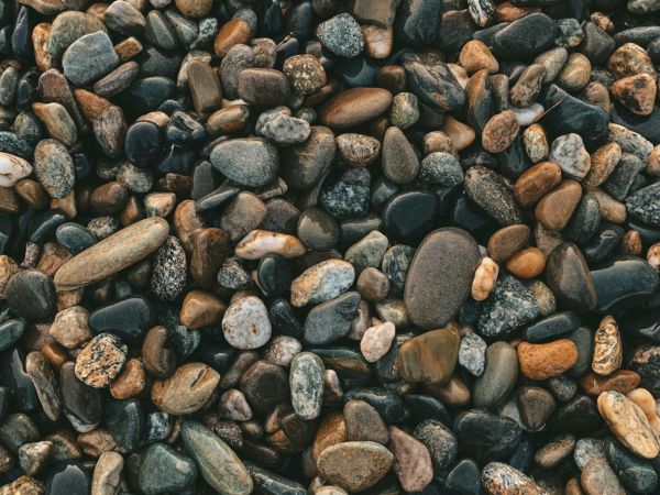 A beach of smooth, colorful pebbles in shades of gray, brown, and tan, each stone uniquely shaped and polished by the sea, forming a natural mosaic.