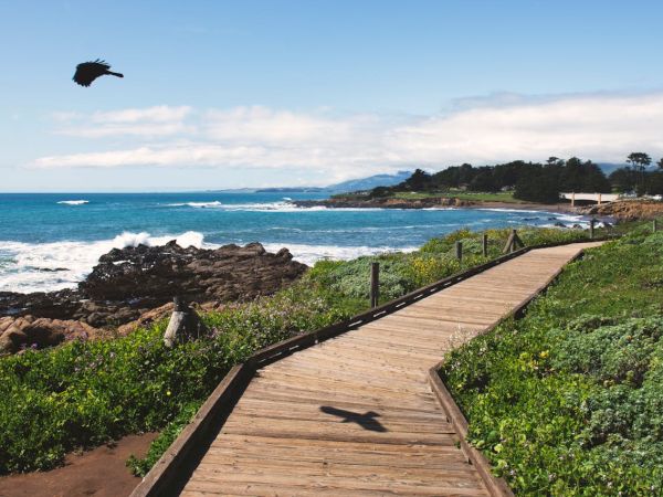 A wooden boardwalk winds along a rocky coastline with green shrubs, a kite surfer silhouette in the sky, and the blue ocean under a partly cloudy sky.