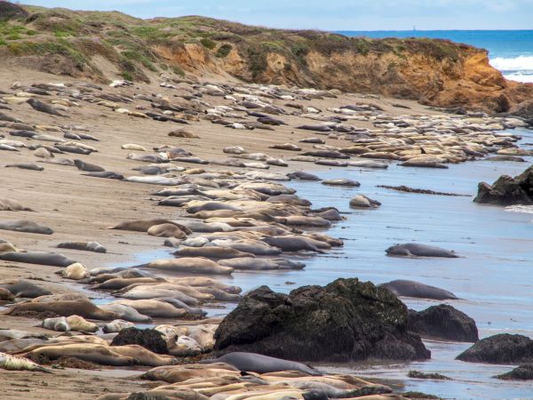 Cambria Hotel Collection