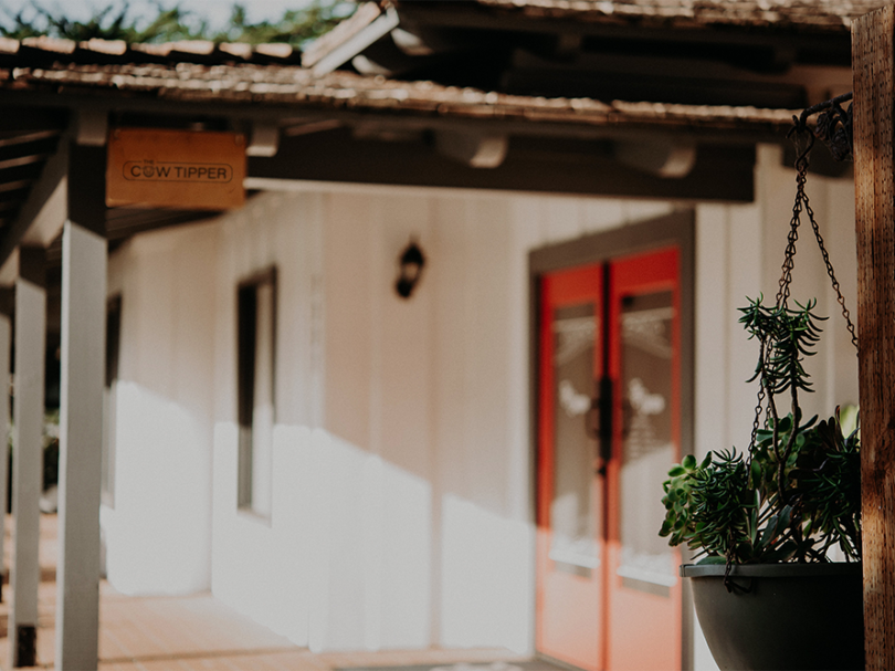 A cozy white building with a red door and hanging plants, outdoor porch shadows, and a small sign near the roof.