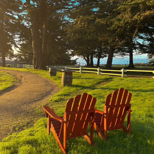 Two wooden Adirondack chairs face a sunlit grassy yard, a dirt path curves by, with trees, a fence, and a glimpse of water in the distance, peaceful.