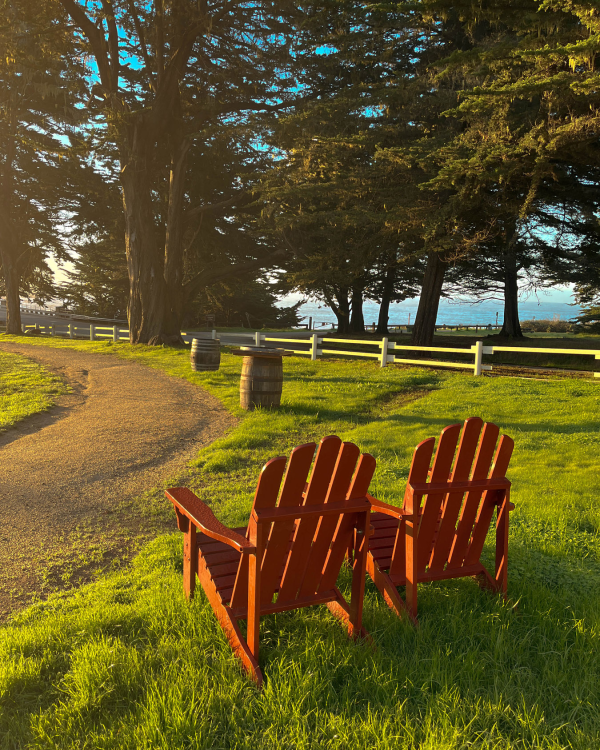 Two wooden Adirondack chairs face a sunlit grassy yard, a dirt path curves by, with trees, a fence, and a glimpse of water in the distance, peaceful.