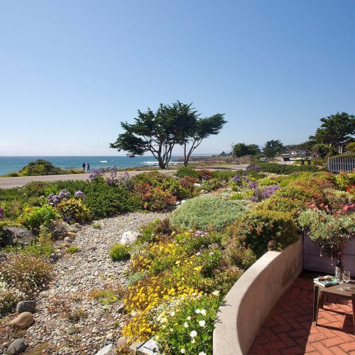 A seaside garden with flowering shrubs, a rocky path, and a view of the ocean; a curved patio with chairs, a small table, and a bird soaring overhead.
