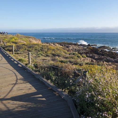 A coastal boardwalk along a rocky shore with calm blue sea, sunlight, and scrubby vegetation, unseen people in the distance, waves crashing.