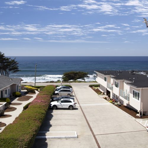 A sunny coastal scene of a residential beachside neighborhood with parked cars, white townhomes, a sidewalk, and the ocean in the distance ending with a seagull soaring above the water.