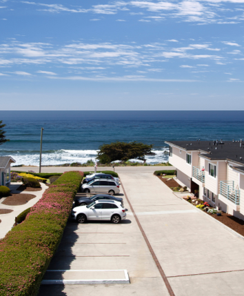 A sunny coastal street with parked cars between rows of beach houses, ocean view beyond, and a seagull flying overhead.